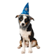 Illustration for article titled The Best Geeky Halloween Costumes For Your Pet